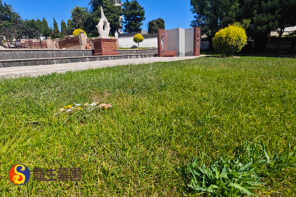 沈阳陵园树葬价格大致是多少？都有哪些特点？